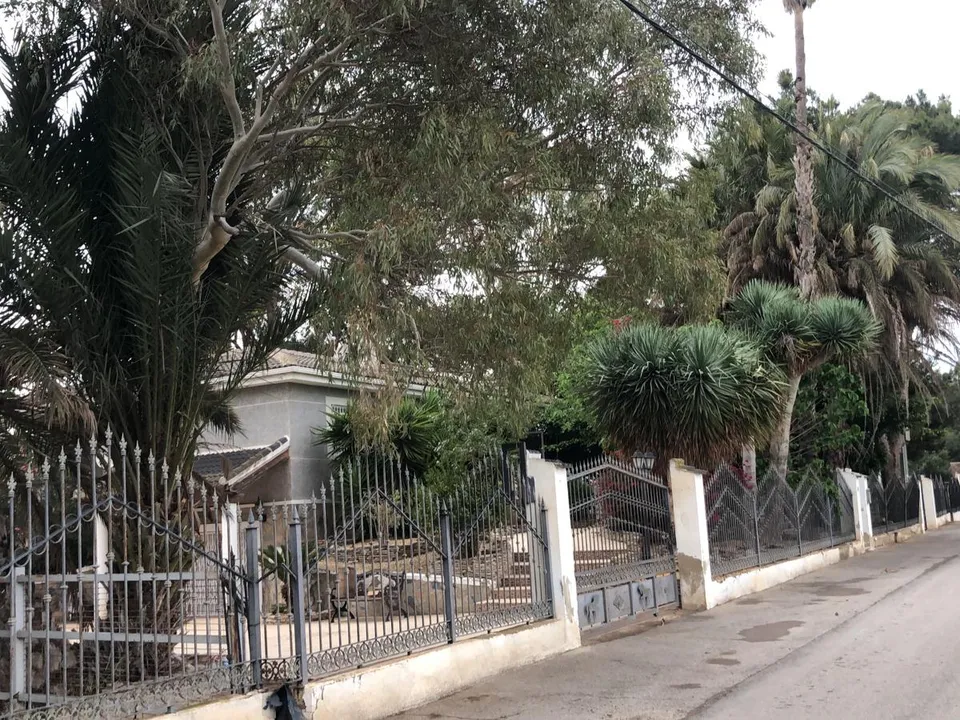 Land in Dolores, Alicante - photo 2